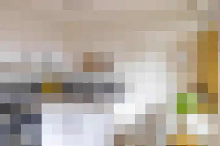 Rivierenhof 32 Groningen thumbnail 19