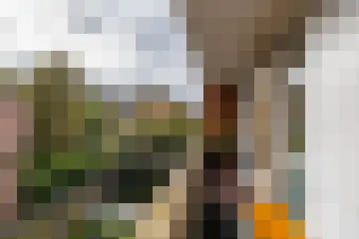 Rivierenhof 32 Groningen thumbnail 28