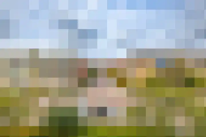 Rivierenhof 32 Groningen thumbnail 29