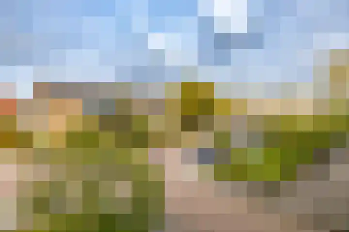 Rivierenhof 32 Groningen thumbnail 30