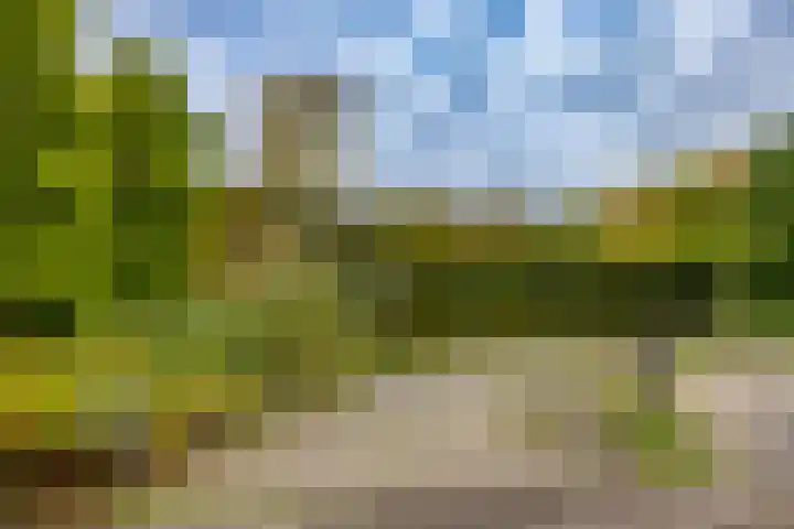 Rivierenhof 32 Groningen thumbnail 31