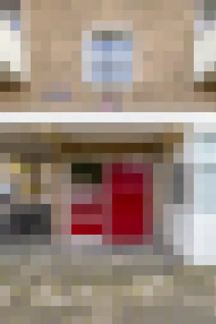 Rivierenhof 32 Groningen thumbnail 4