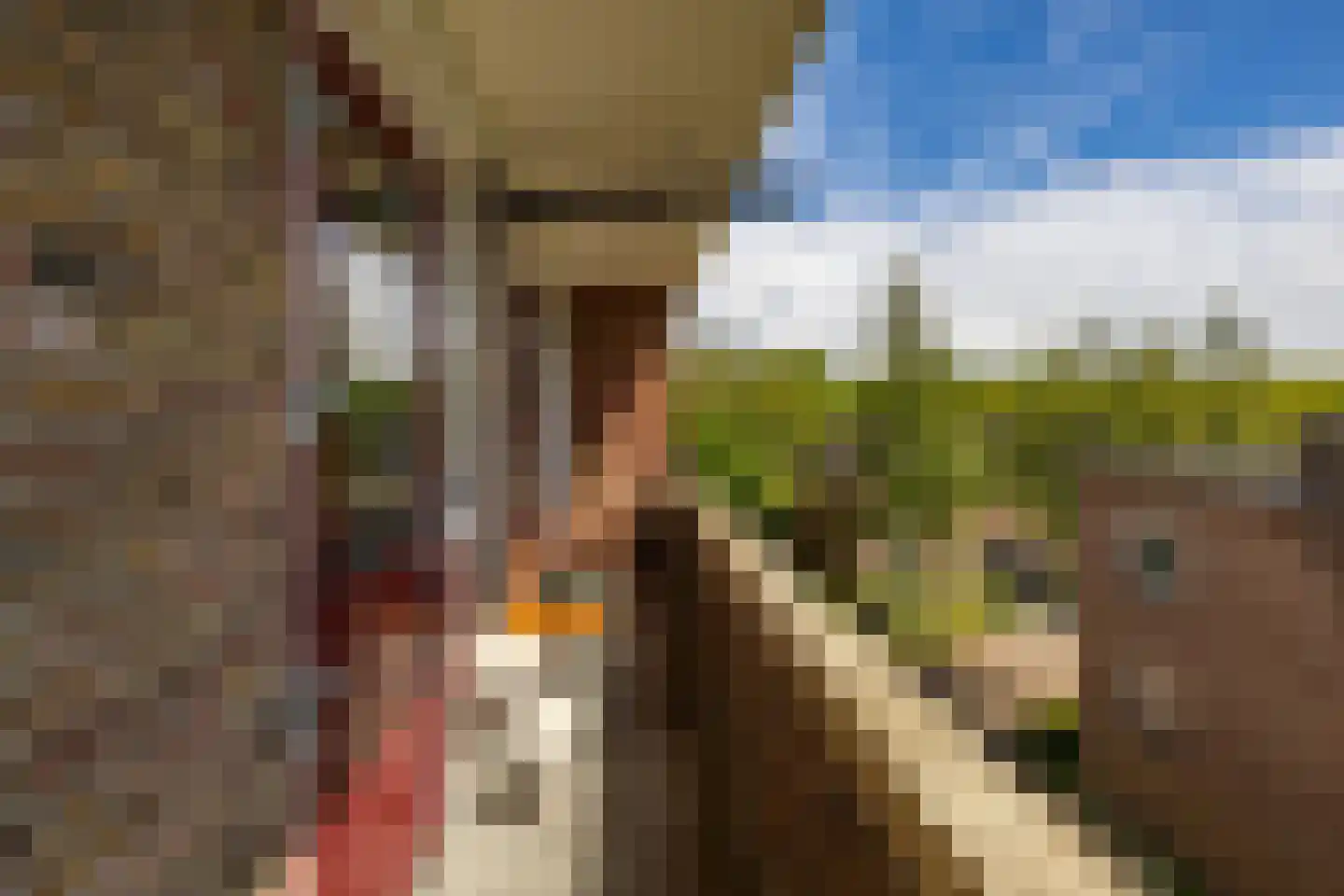 Rivierenhof 48 Groningen thumbnail 13
