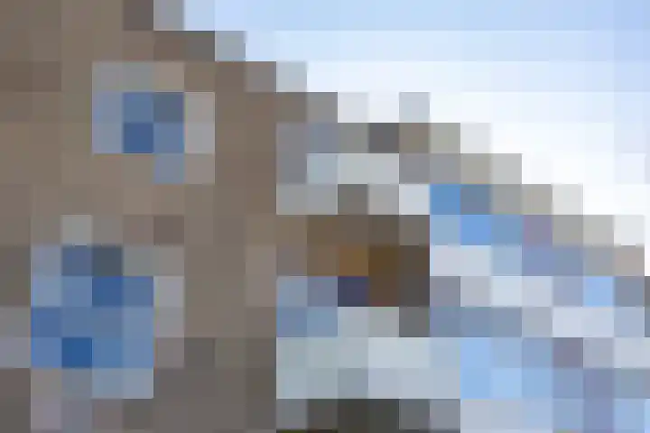 Rivierenhof 56 Groningen thumbnail 31