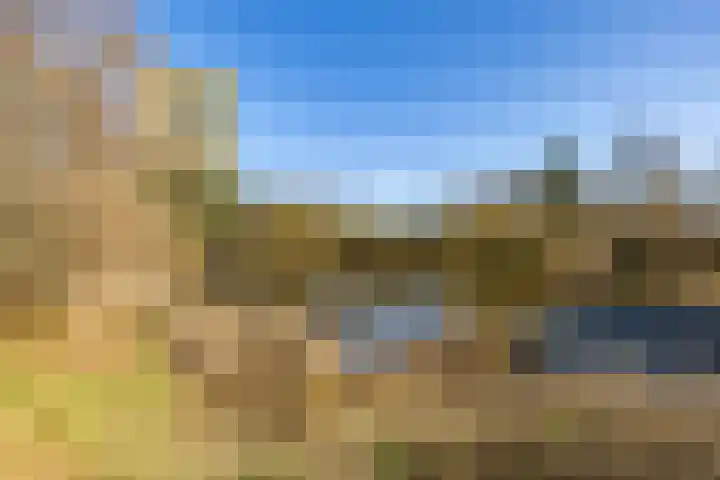 Rivierenhof 56 Groningen thumbnail 34