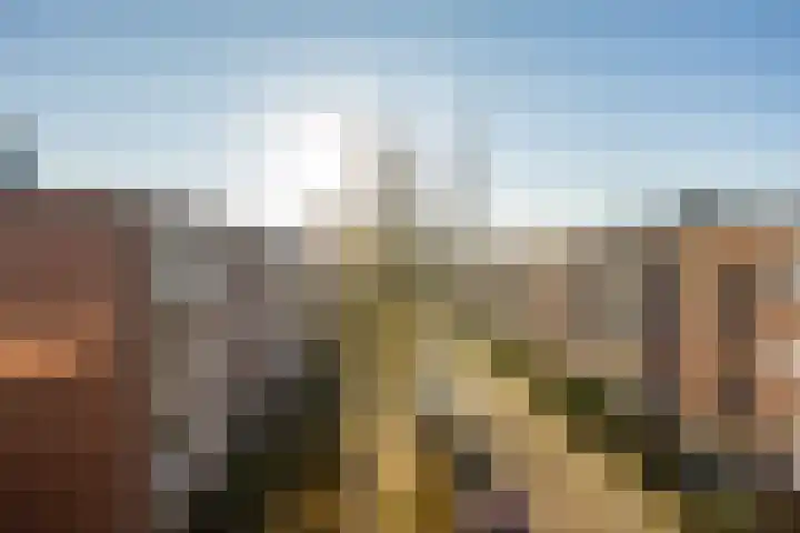 Rivierenhof 66 Groningen thumbnail 15