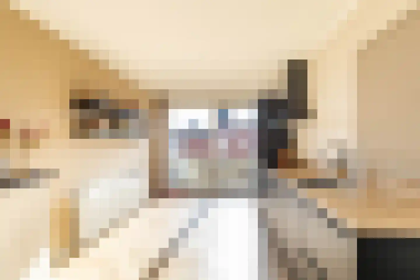 Rivierenhof 68 Groningen thumbnail 20
