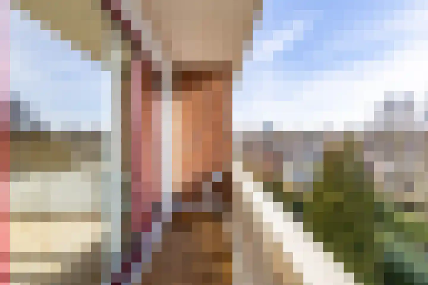 Rivierenhof 68 Groningen thumbnail 34
