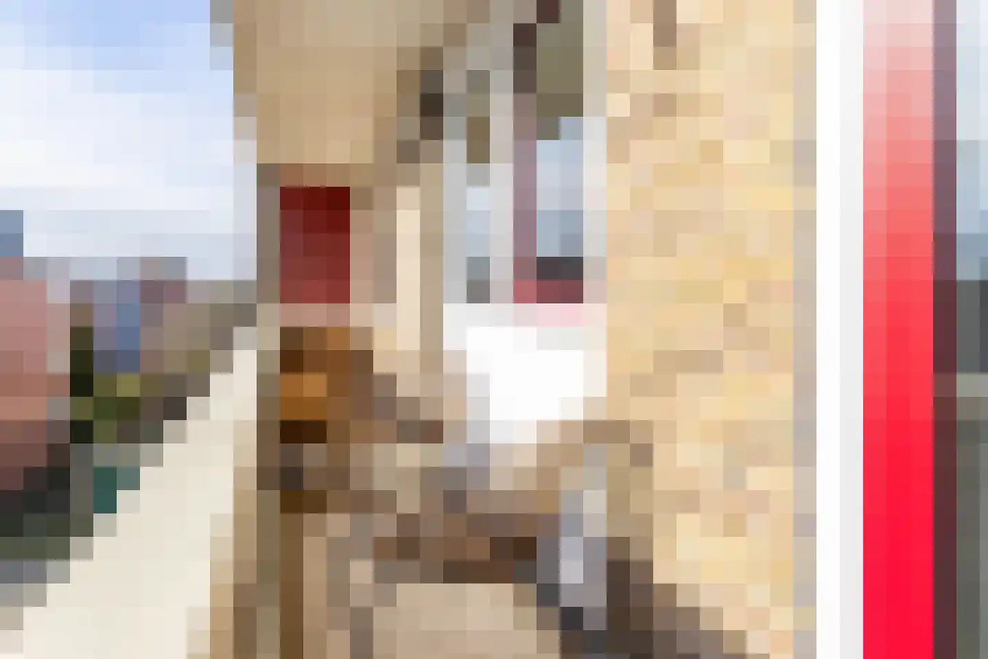 Rivierenhof 68 Groningen thumbnail 4