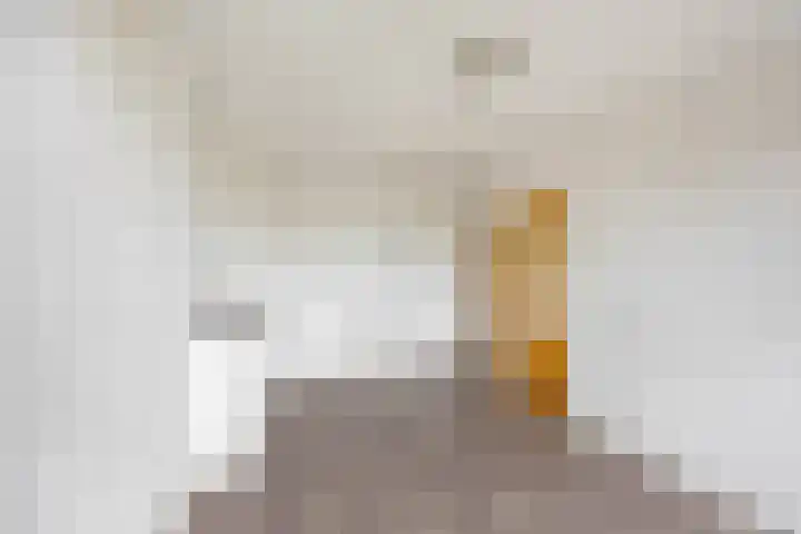 Rivierenhof 8 Groningen thumbnail 14