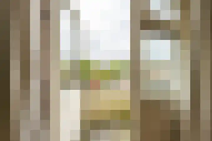 Rivierenhof 8 Groningen thumbnail 16