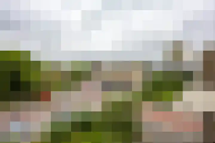 Rivierenhof 8 Groningen thumbnail 17