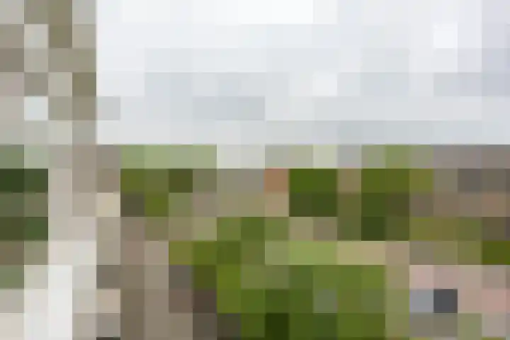 Rivierenhof 8 Groningen thumbnail 18