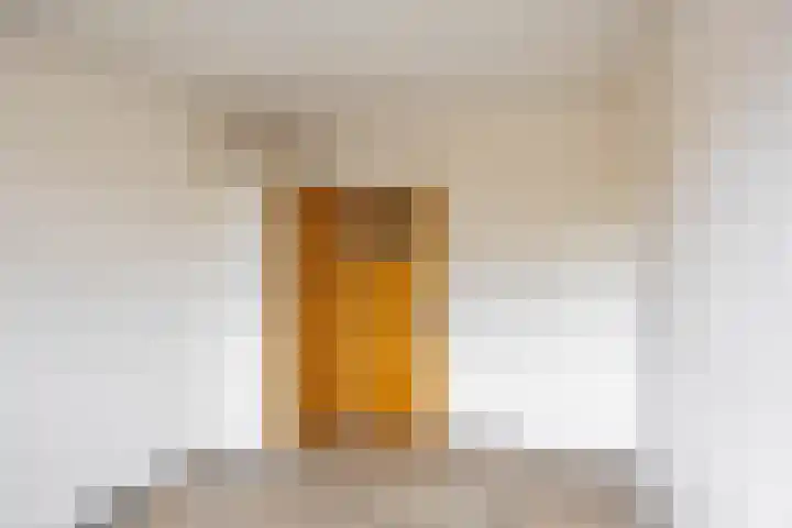 Rivierenhof 8 Groningen thumbnail 19