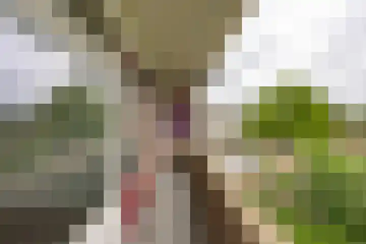 Rivierenhof 8 Groningen thumbnail 28