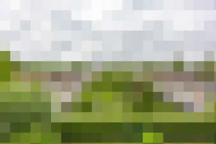 Rivierenhof 8 Groningen thumbnail 29