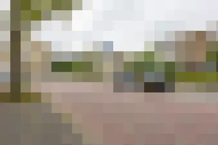 Rivierenhof 8 Groningen thumbnail 32
