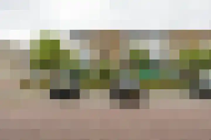 Rivierenhof 8 Groningen thumbnail 33