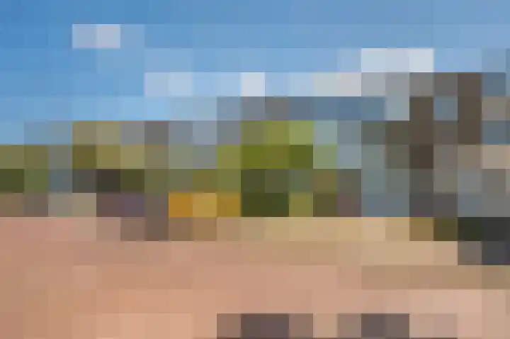 Rivierenhof 86 Groningen thumbnail 4
