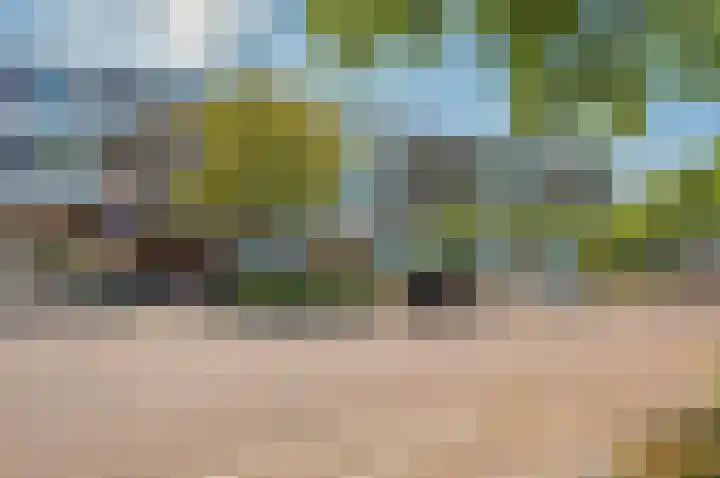 Rivierenhof 86 Groningen thumbnail 5