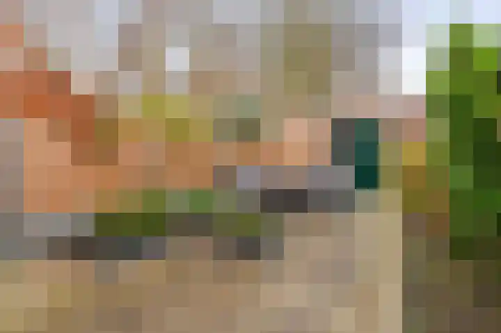 Rivierenlaan 117 Pijnacker thumbnail 11