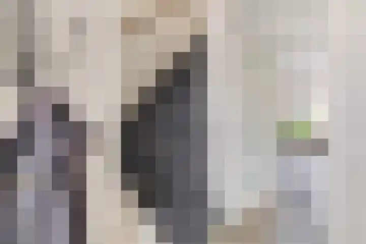 Rivierenlaan 117 Pijnacker thumbnail 16