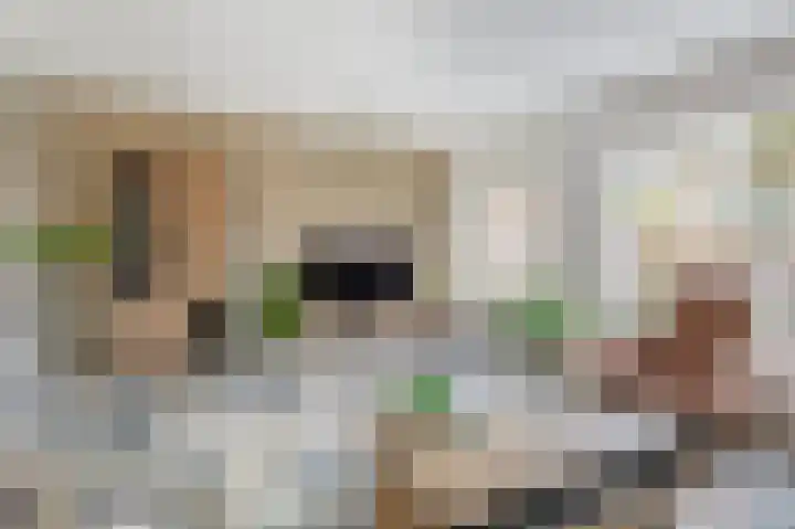 Rivierenlaan 117 Pijnacker thumbnail 4