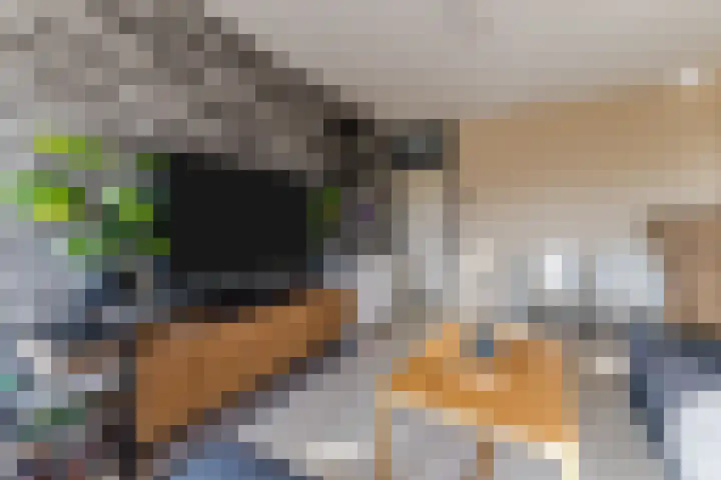 Rivierenlaan 117 Purmerend thumbnail 14