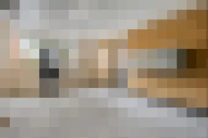 Rivierenlaan 119 Purmerend thumbnail 11