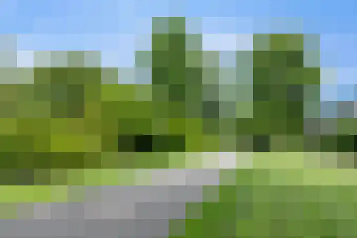 Rivierenlaan 119 Purmerend thumbnail 39