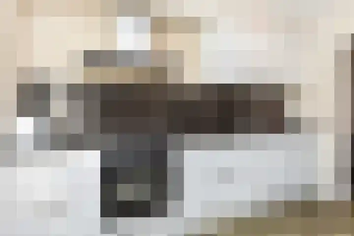 Rivierenlaan 124 Pijnacker thumbnail 12
