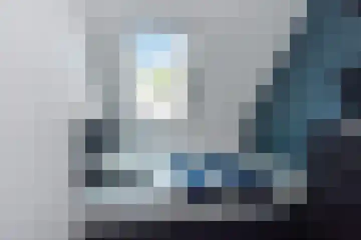 Rivierenlaan 124 Pijnacker thumbnail 18