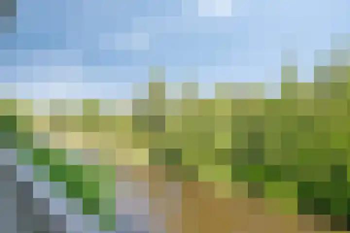 Rivierenlaan 127 Purmerend thumbnail 7