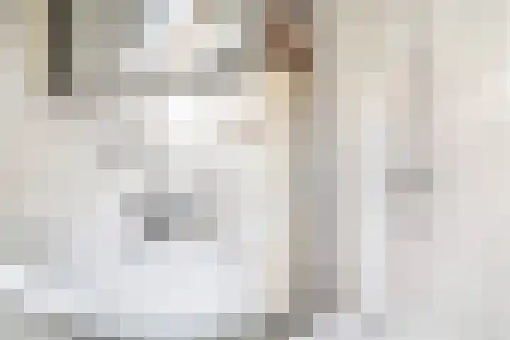 Rivierenlaan 152 Pijnacker thumbnail 13