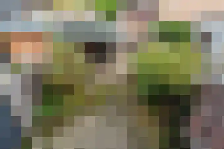 Rivierenlaan 152 Pijnacker thumbnail 15