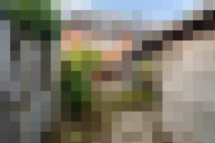 Rivierenlaan 152 Pijnacker thumbnail 16