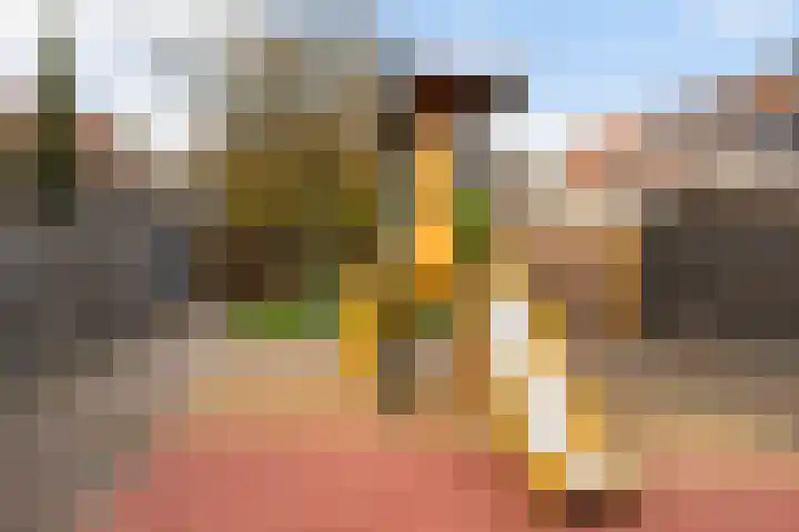 Rivierenlaan 152 Pijnacker thumbnail 17