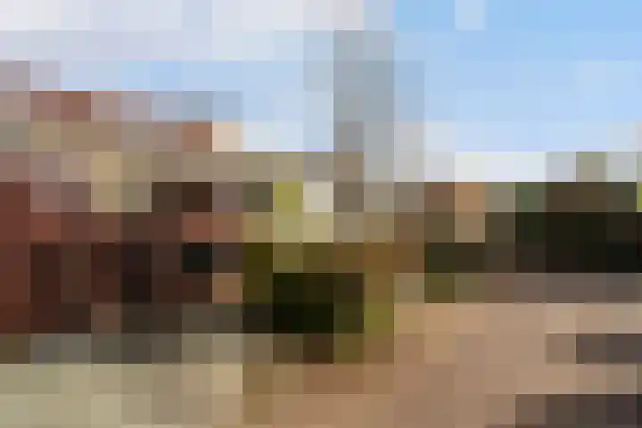 Rivierenlaan 152 Pijnacker thumbnail 19