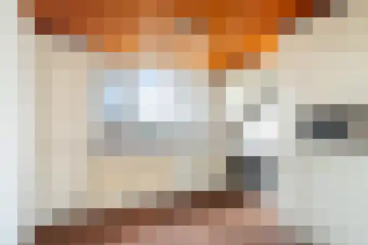 Rivierenlaan 152 Pijnacker thumbnail 4