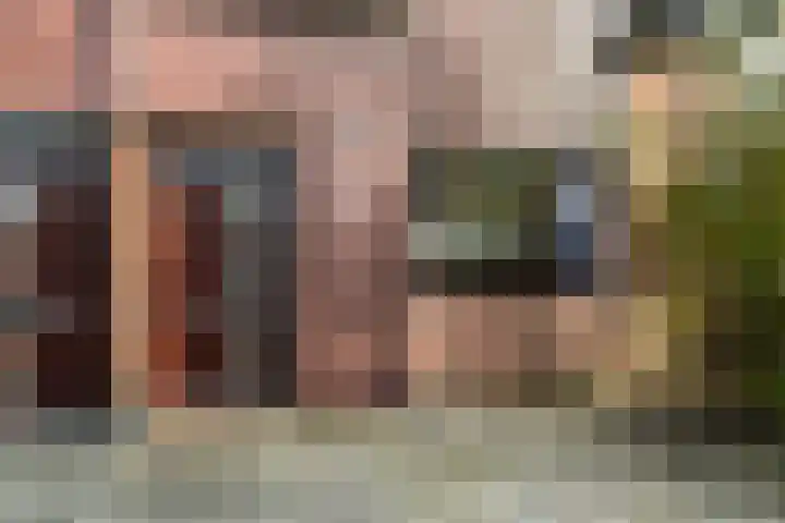 Rivierenlaan 152 Pijnacker thumbnail 5
