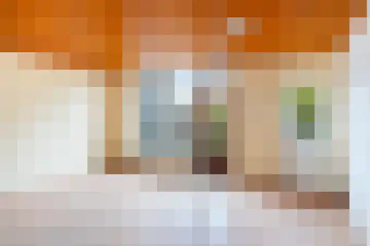Rivierenlaan 152 Pijnacker thumbnail 7