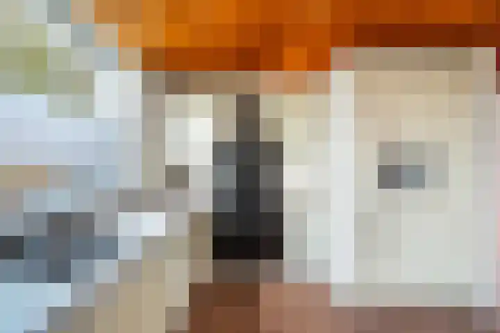 Rivierenlaan 152 Pijnacker thumbnail 8