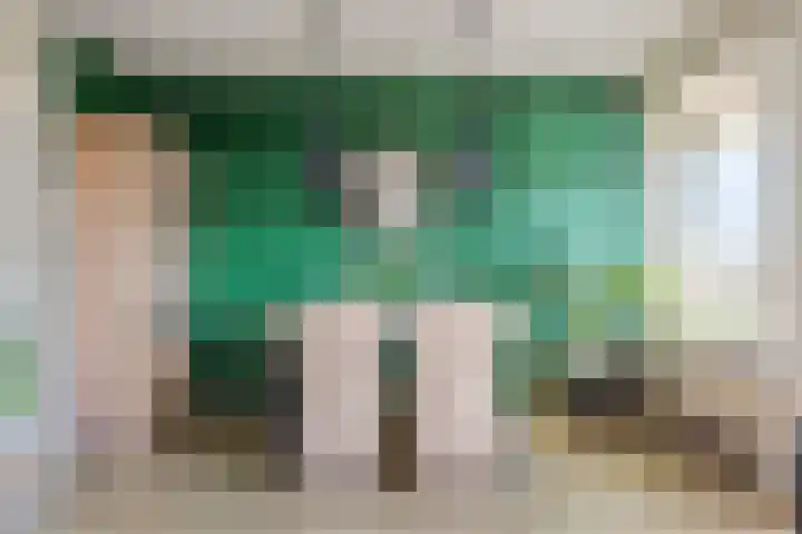 Rivierenlaan 165 Purmerend thumbnail 13