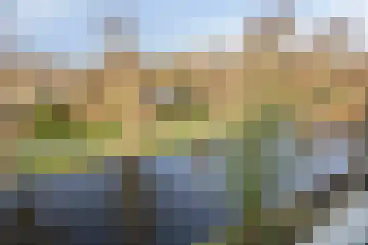 Rivierenlaan 165 Purmerend thumbnail 31
