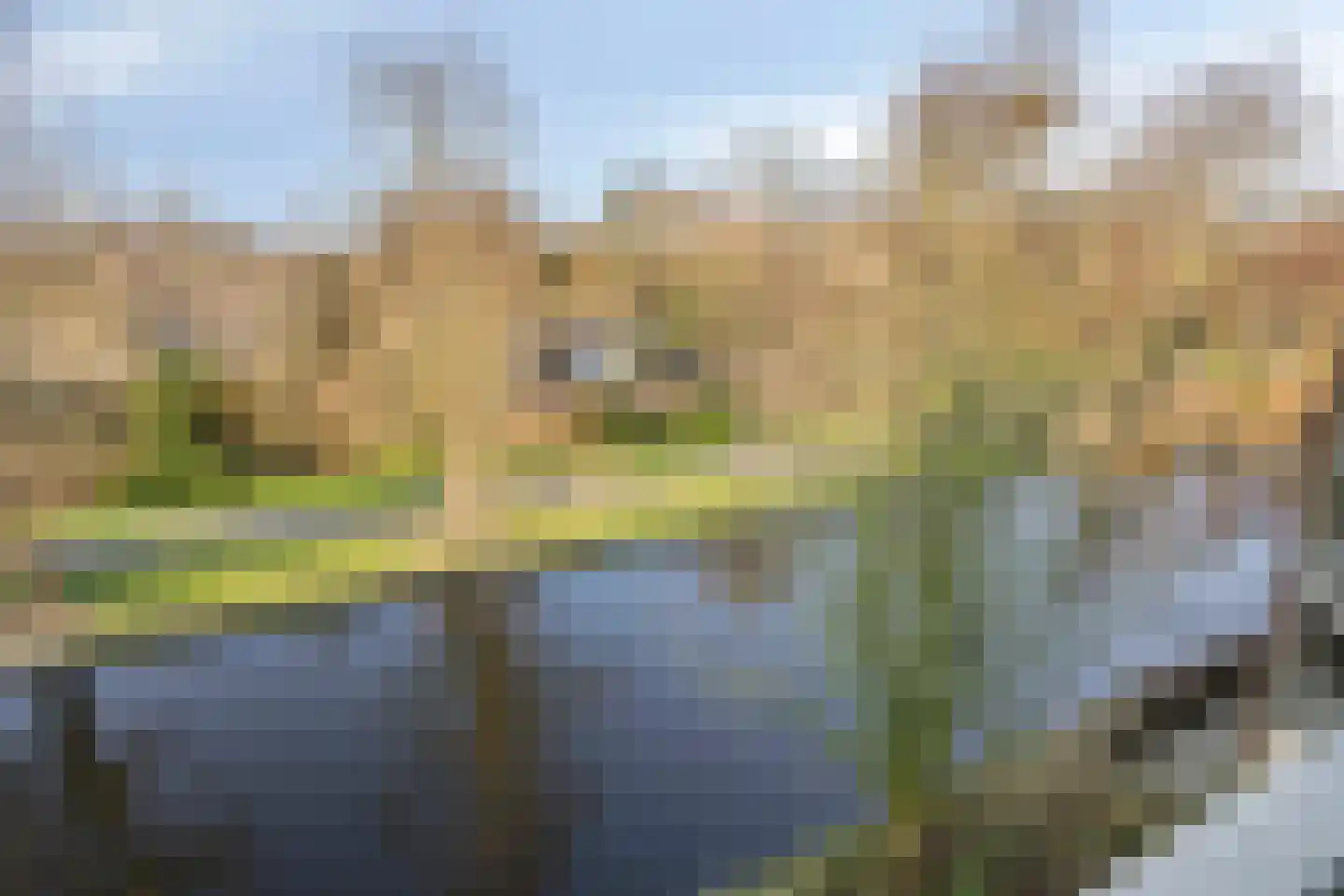 Rivierenlaan 165 Purmerend thumbnail 31