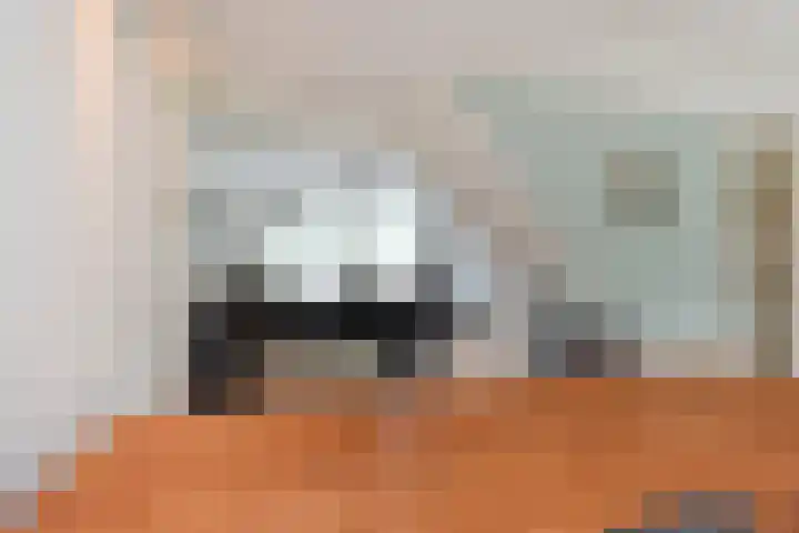 Rivierenlaan 166 Pijnacker thumbnail 12