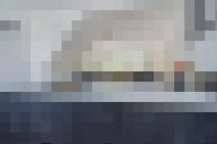 Rivierenlaan 166 Pijnacker thumbnail 15