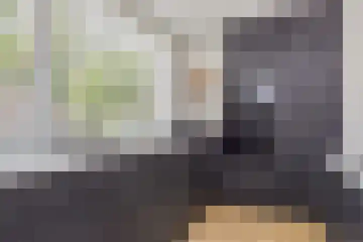 Rivierenlaan 166 Pijnacker thumbnail 16