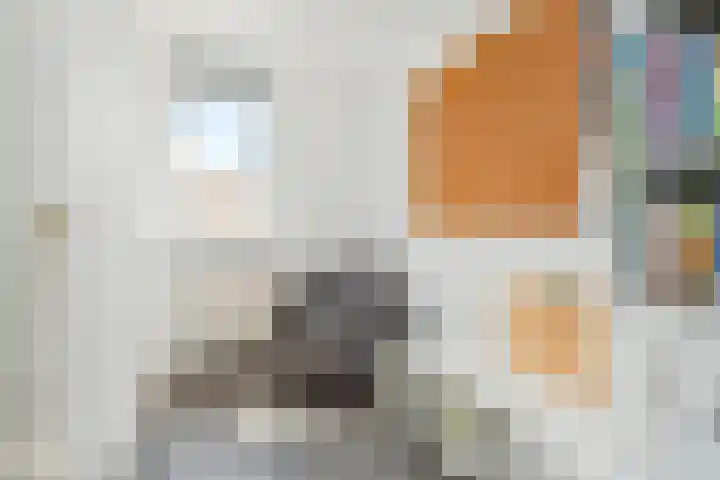 Rivierenlaan 166 Pijnacker thumbnail 22