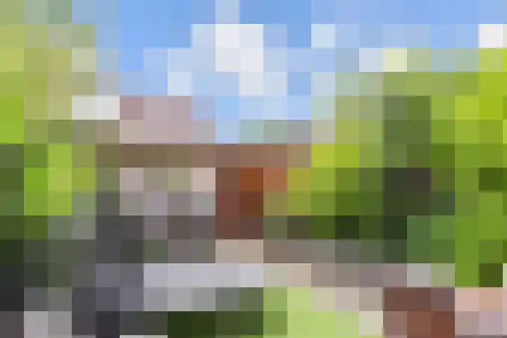 Rivierenlaan 166 Pijnacker thumbnail 28